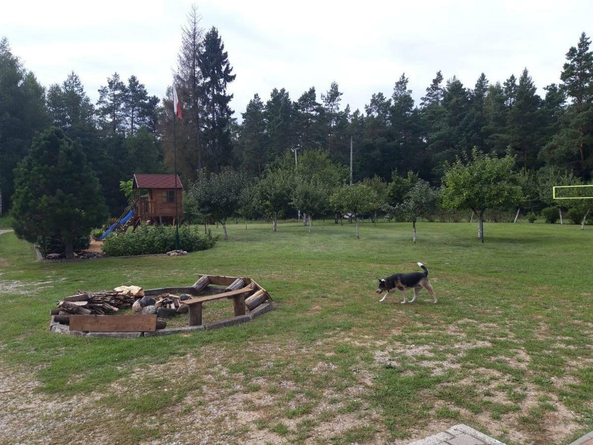 Pokoje W Lesie Miłomłyn المظهر الخارجي الصورة
